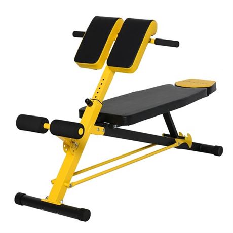 Soozier Adjustable Hyper Extension Dumbbell Weight Bench
