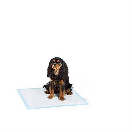 Basics Dog and Puppy Pee  Potty Training Pads  Regular (24 X 23 Inches) - Pack