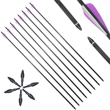 Huntingdoor Archery Carbon Arrows 31 Targeting Arrows 350 Spine with Removable