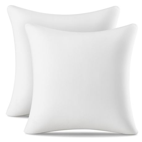 AM AEROMAX 22 22 Pillow Insert (Pack of 2) Memory Foam Throw Pillow Insert Sh