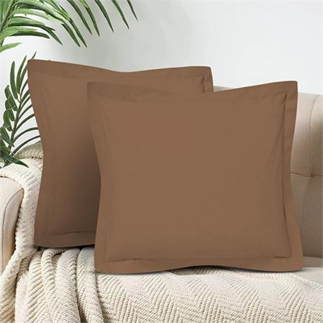 CharlottelyHues Set of 2 Pillow Shams 1000 Thread Count European Square Pillow