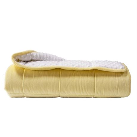 ALANSMA Reversible Weighted Blanket for All Season