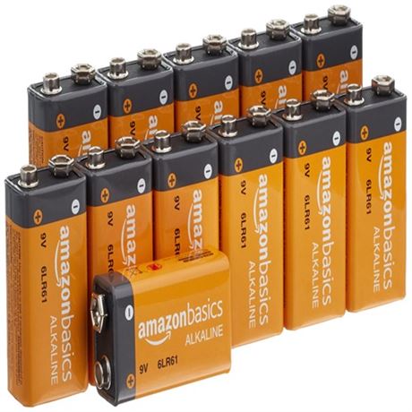 Basics 12-Pack 9 Volt Alkaline Performance All-Purpose Batteries 5-Year Shelf L