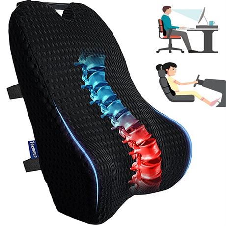 Teemour Lumbar Support Pillow for Car Office Chair Reduces Back Pain Relief Mem
