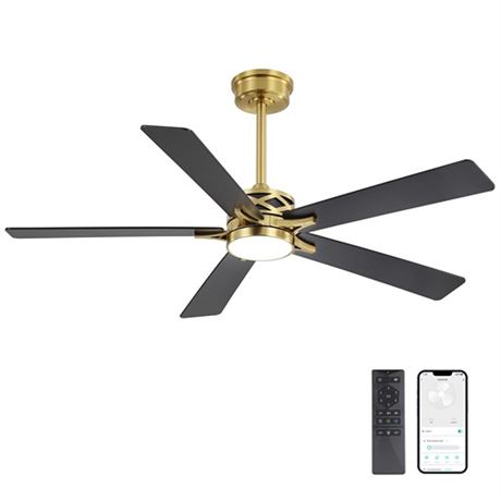 WINGBO 60 Smart Ceiling Fan with Lights and 3 Downrods 5 Plywood Blades 6 Sp