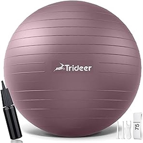 Trideer Yoga Ball - Exercise Ball for Workout pilates Stability - Anti-Burst and