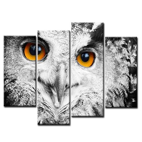 Owl Head Portrait Wall Art Painting Pictures Print
