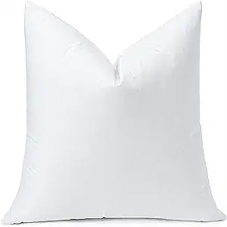 OTOSTAR Pack of 1 Down and Feather Throw Pillow Inserts