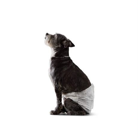 Basics Male Dog Wrap Disposable Diapers Small (Pack of 50) White